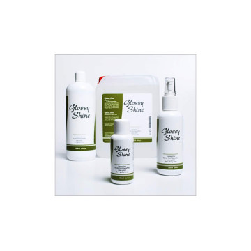 Lesk na latex - Glossy Shine 250ml